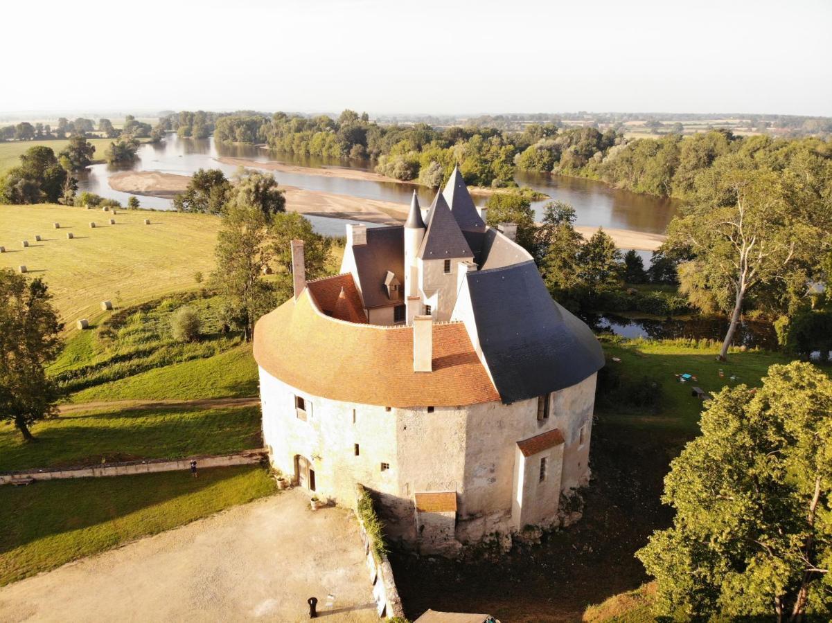 Un Chateau En Bourgogne Saincaize-Meauce Buitenkant foto