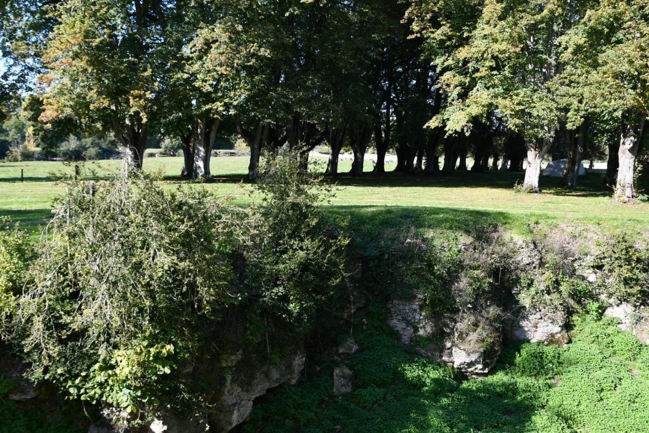 Un Chateau En Bourgogne Saincaize-Meauce Buitenkant foto