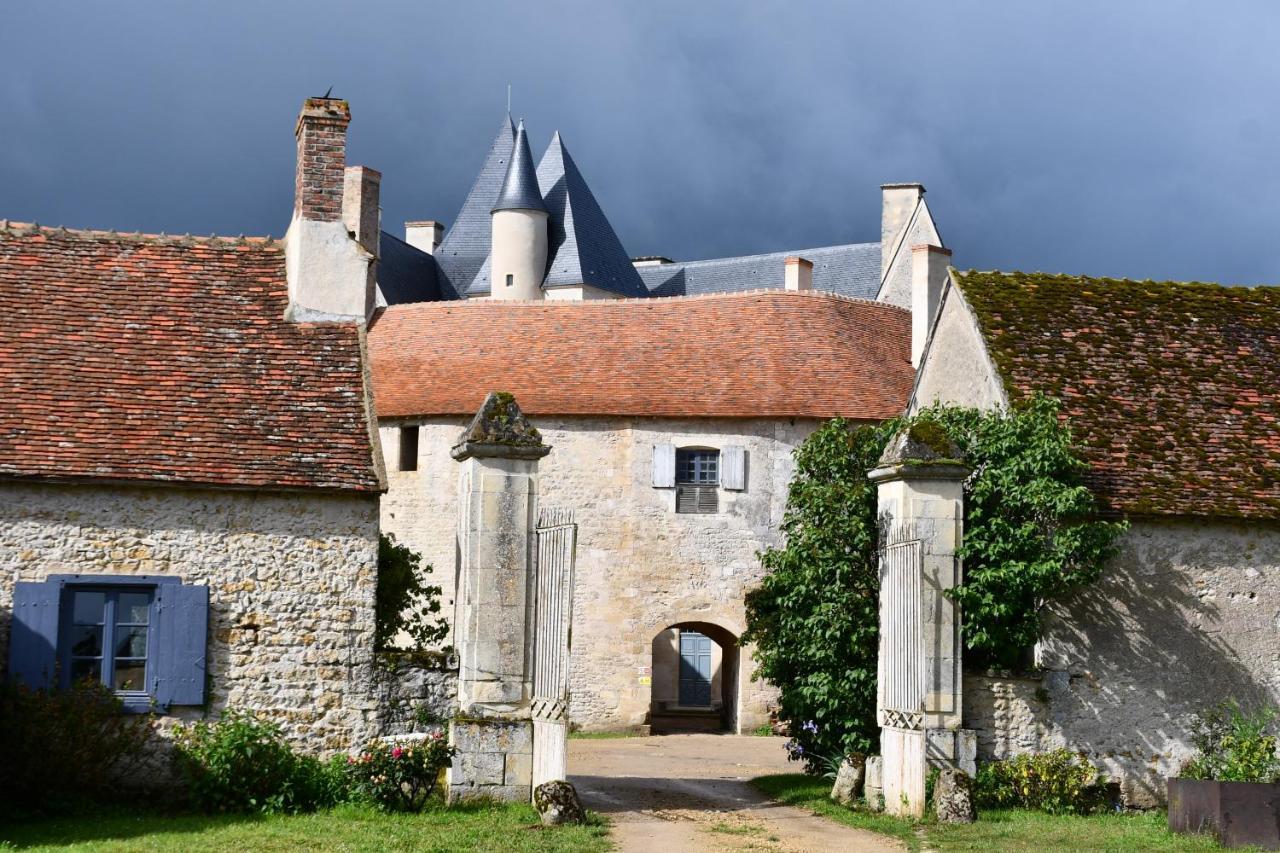 Un Chateau En Bourgogne Saincaize-Meauce Buitenkant foto