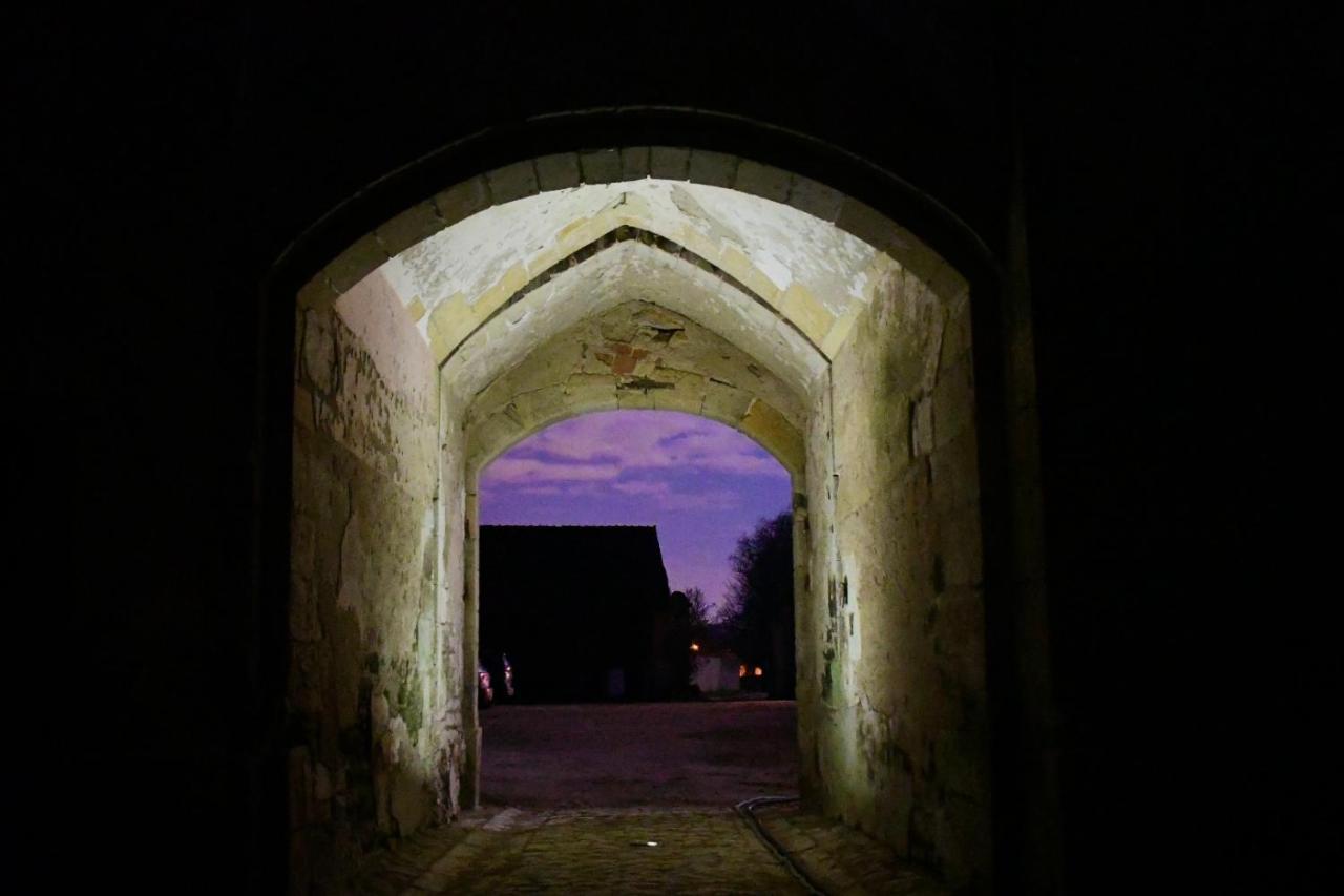 Un Chateau En Bourgogne Saincaize-Meauce Buitenkant foto
