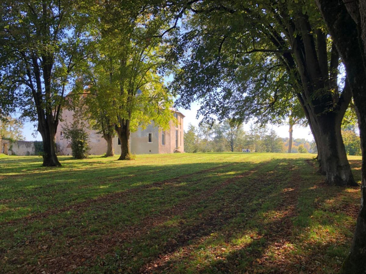Un Chateau En Bourgogne Saincaize-Meauce Buitenkant foto