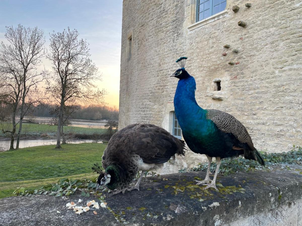 Un Chateau En Bourgogne Saincaize-Meauce Buitenkant foto
